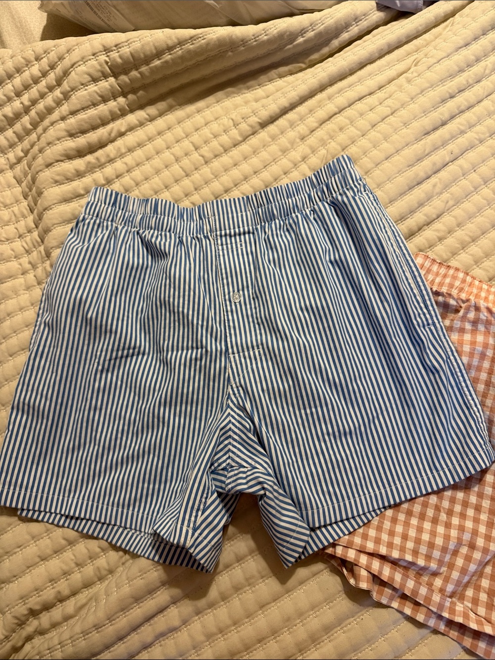 American Eagle Outfitters Blue and White Striped Cotton Boxer Shorts